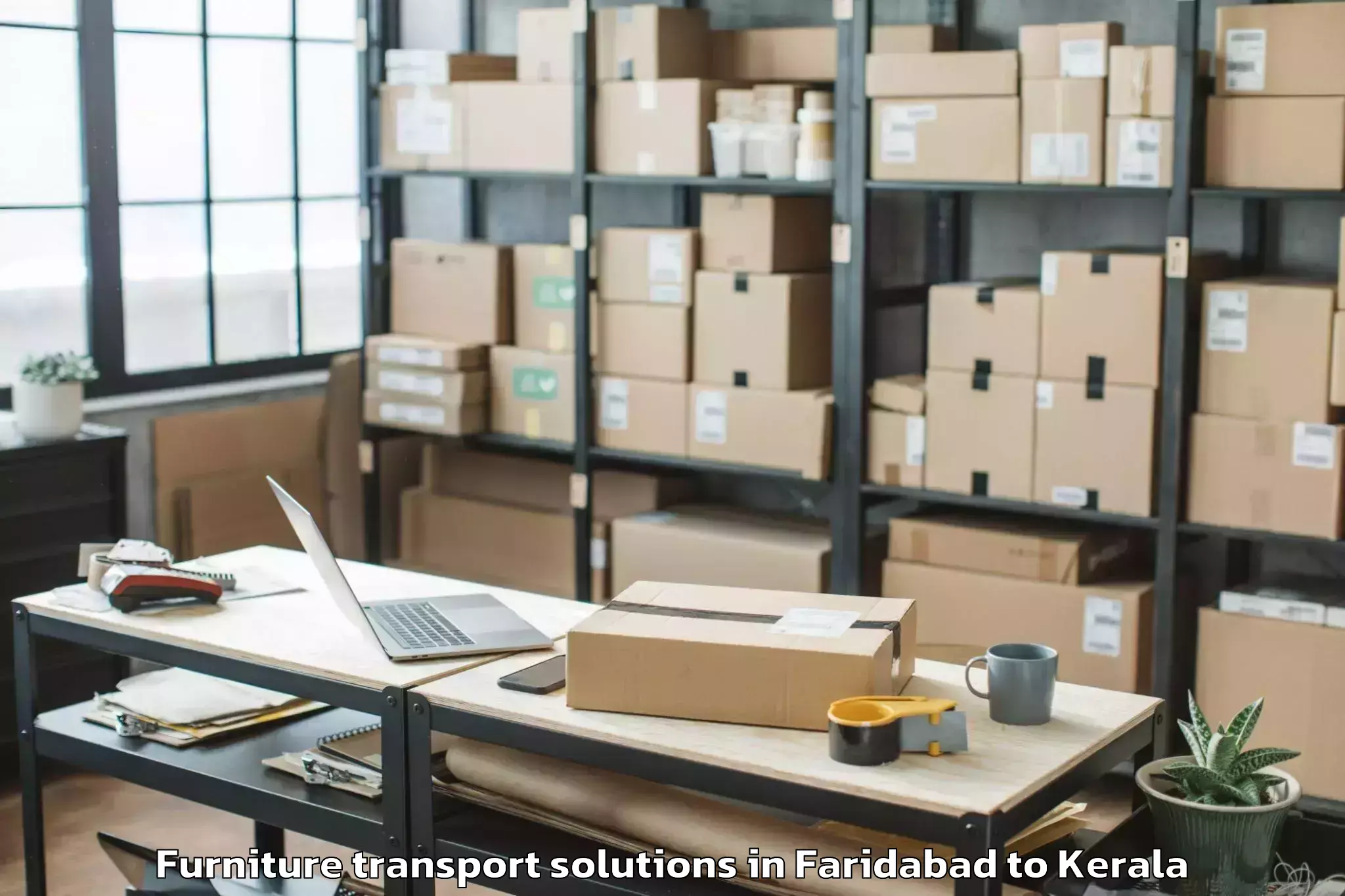 Book Faridabad to Karinkallathani Furniture Transport Solutions